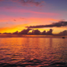 Ushuaïa nature magazine nature USHUAIA TV