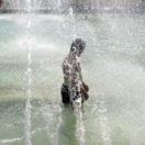 Ushuaïa nature magazine nature USHUAIA TV