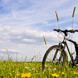 Enquêtes de région magazine reportage FRANCE 3