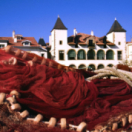 Des racines et des ailes magazine reportage TV5 MONDE