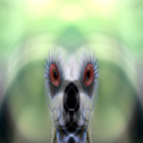 Alien Theory série documentaire science et technique ABXPLORE