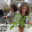 Le génie caché des plantes : supersens documentaire science et technique USHUAIA TV