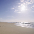 Hold-up sur les vieux documentaire société PUBLIC SENAT - LCP AN