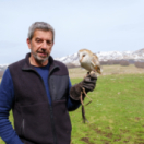 La doc et le véto série/feuilleton comédie dramatique FRANCE 3