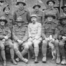 Les tunnels de guerre documentaire historique TOUTE L'HISTOIRE