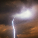 Les 5 vies de la Terre série documentaire nature FRANCE 5