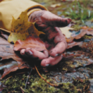 Chroniques criminelles magazine - duiding samenleving TFX