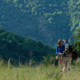 Antoinette dans les Cévennes film comédie romantique LA TROIS