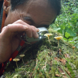 Le monde extraordinaire des champignons documentaire science et technique FRANCE 5