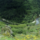 Saumon, histoire d'un retour ? documentaire ontdekking USHUAIA TV