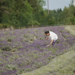 Échappées belles magazine découverte FRANCE 5