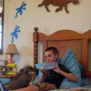 Mia et le lion blanc film aventure CSTAR