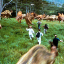 Jurassic Park 3 film aventure TF1 Séries Films