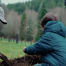 Planter à tout prix, des arbres pour sauver la planète ? documentaire environnement USHUAIA TV