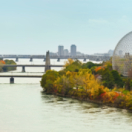 Montréal sauvage documentaire société TV5 MONDE