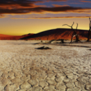 Extrême Namibie série documentaire nature ANIMAUX