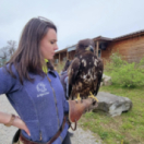 Le retour du géant documentaire découverte USHUAIA TV