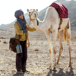 Zodi et Téhu, frères du désert film comédie d'aventure W9