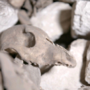 La découverte des derniers tombeaux d'Égypte série documentaire historique TOUTE L'HISTOIRE