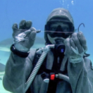 Thalassa, aventures extrêmes magazine mer FRANCE 5