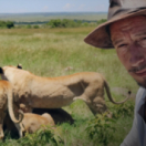 Un homme, des lions série documentaire animalier ANIMAUX