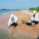 Tchernobyl, un nuage sur la Corse documentaire historique FRANCE 2