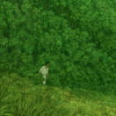 La tortue rouge film animation CINE + CLUB