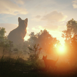 Flow, le chat qui n'avait plus peur de l'eau film animation CINE + CLUB
