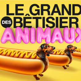 Le grand bêtisier des animaux divertissement GULLI