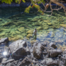 Quebec à vol d'oiseau série documentaire nature CHASSE & PECHE