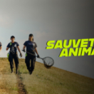 Sauvetage animal série documentaire animalier ANIMAUX