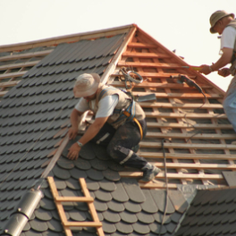 Ils construisent la maison de leurs rêves documentaire société TFX