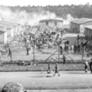 Ils ont libéré Bergen-Belsen documentaire cinéma PLANETE +