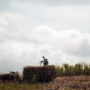 Le sucre, pour la douceur et pour le pire documentaire société HISTOIRE