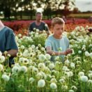 Close film drame ARTE