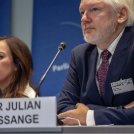 Julian Assange : l'homme à faire taire documentaire société PUBLIC SENAT - LCP AN
