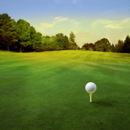 PGA Championship sport golf CANAL + SPORT