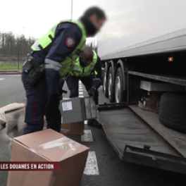 100 jours avec les douanes en action série documentaire société CSTAR