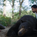 Cocaine Bear film horror VTM3
