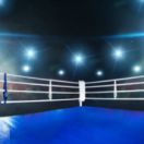 Championnat du monde WBC des poids lourds sport boxe TIPIK