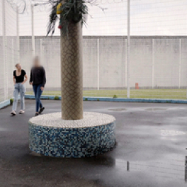 Marternité sous écrou documentaire société PUBLIC SENAT - LCP AN
