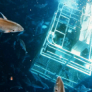 Thalassa, aventures extrêmes magazine mer FRANCE 5