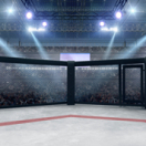 UFC Classiques sport L'EQUIPE 21