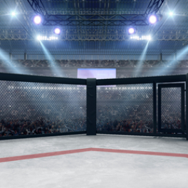 UFC Classiques sport L'EQUIPE 21