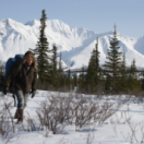 Into the Wild film drame CINE + CLUB