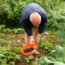 Le jardinage, ça ratisse large ! documentaire société FRANCE 5