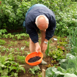 Le jardinage, ça ratisse large ! documentaire société FRANCE 5
