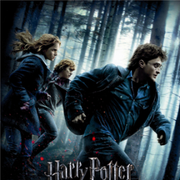 Harry Potter et les Reliques de la mort film fantastique TMC