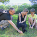 Animaux à adopter magazine animalier CSTAR