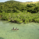 Rise, dans le secret des mangroves de Madagascar documentaire découverte USHUAIA TV